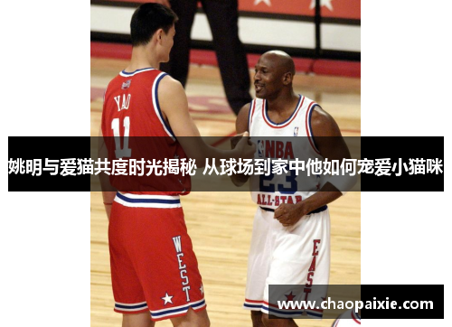 姚明与爱猫共度时光揭秘 从球场到家中他如何宠爱小猫咪
