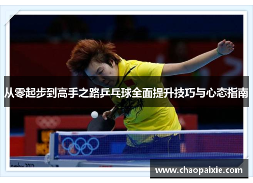 从零起步到高手之路乒乓球全面提升技巧与心态指南