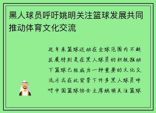 黑人球员呼吁姚明关注篮球发展共同推动体育文化交流