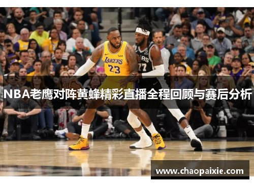 NBA老鹰对阵黄蜂精彩直播全程回顾与赛后分析